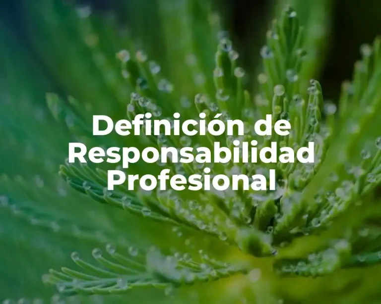 Definición de Responsabilidad Profesional