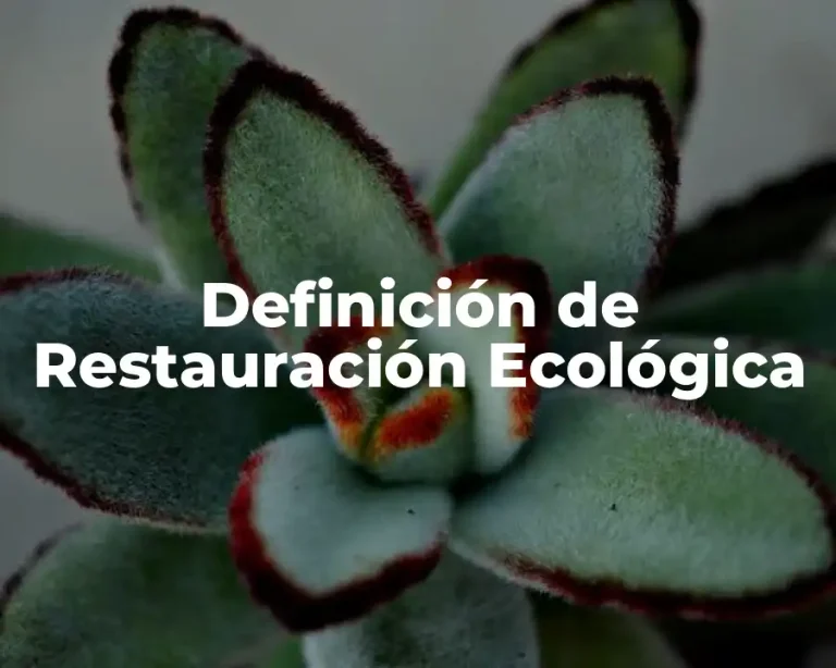 Definición de Restauración Ecológica