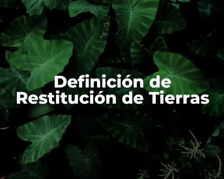 Definición de Restitución de Tierras