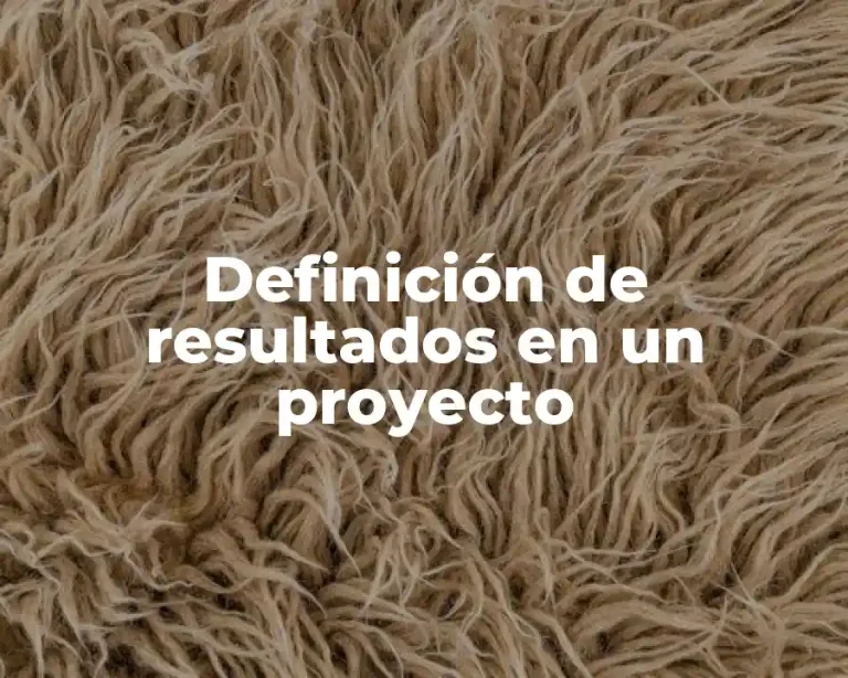 Definición de resultados en un proyecto