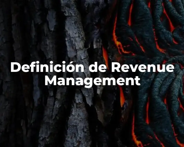Definición de Revenue Management