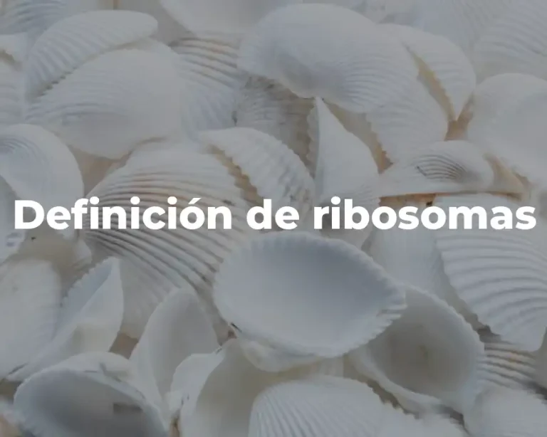 Definición de ribosomas