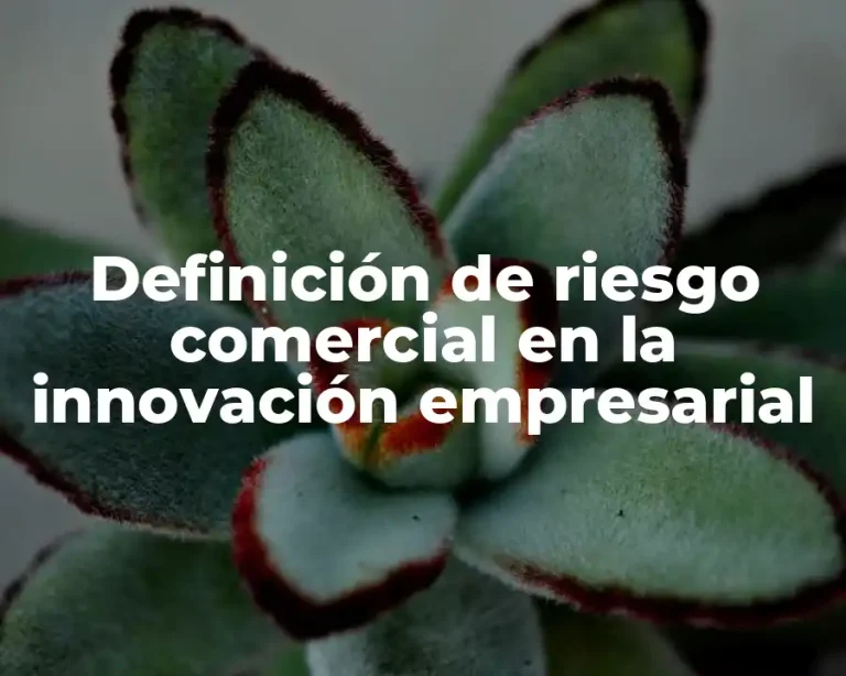 Definición de riesgo comercial en la innovación empresarial