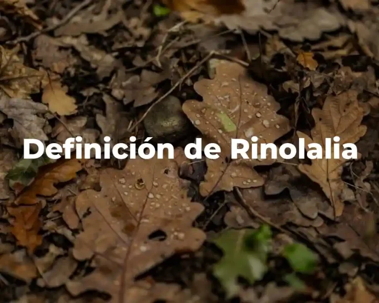 Definición de Rinolalia