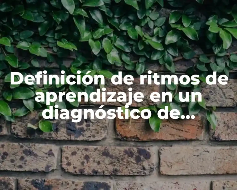 Definición de ritmos de aprendizaje en un diagnóstico de preescolar