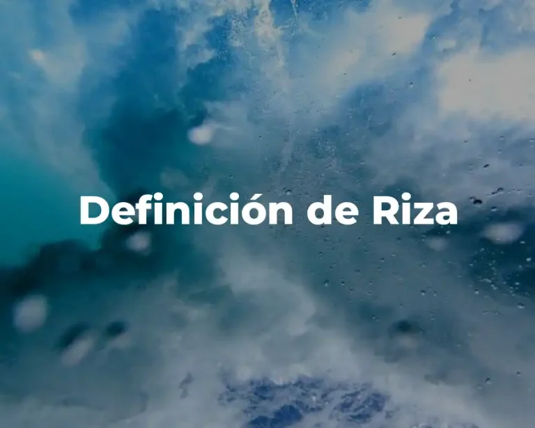 Definición de Riza