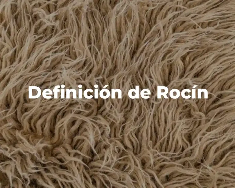 Definición de Rocín