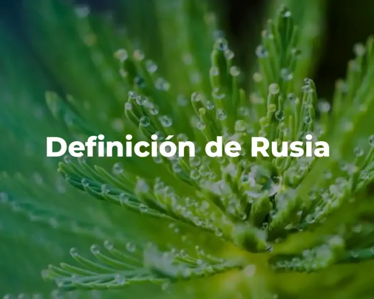 Definición de Rusia