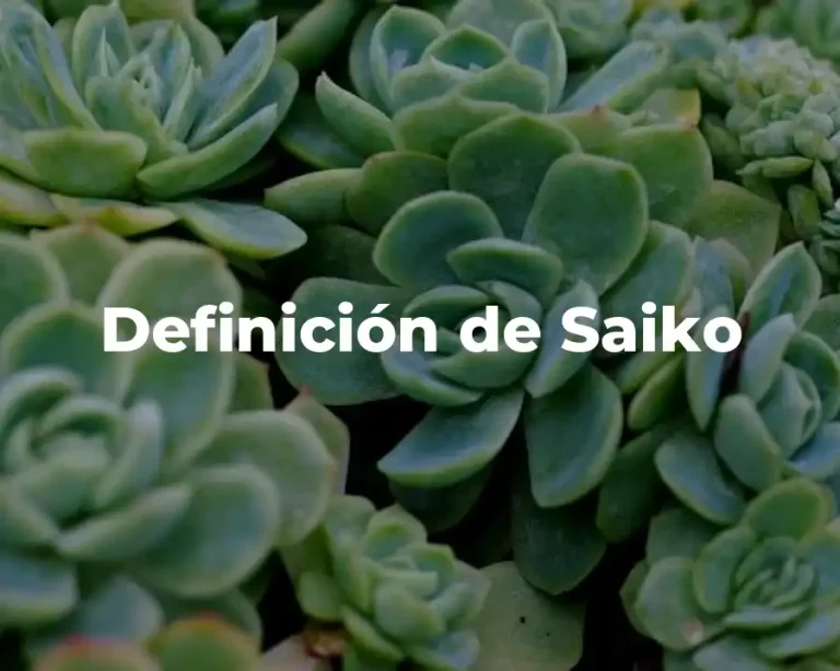 Definición de Saiko