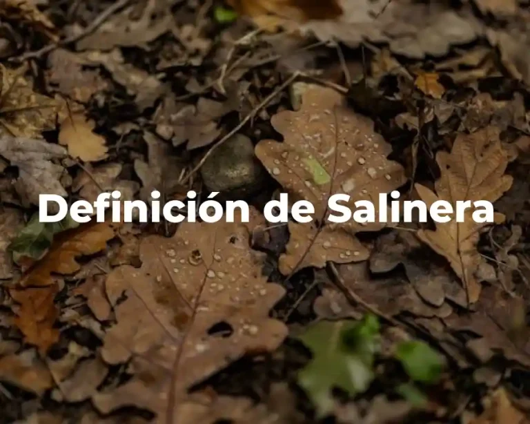 Definición de Salinera