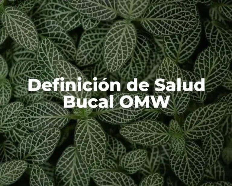 Definición de Salud Bucal OMW