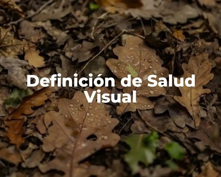 Definición de Salud Visual