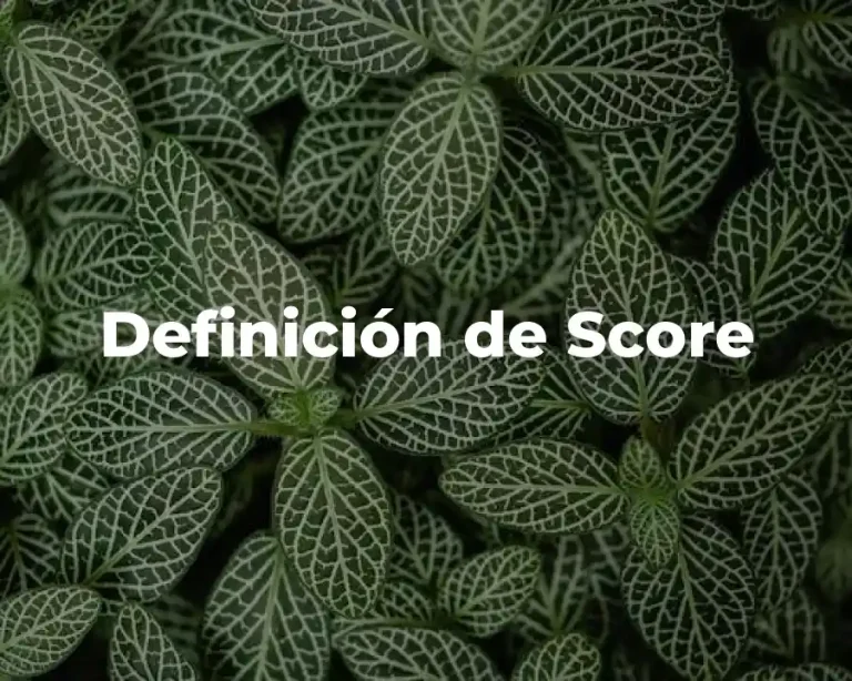 Definición de Score