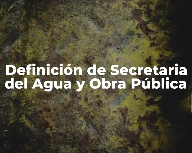 Definición de Secretaria del Agua y Obra Pública