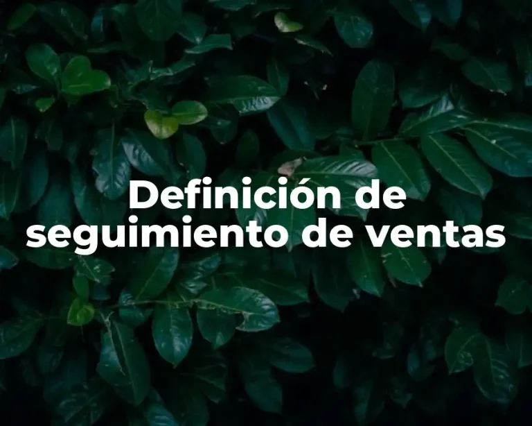 Definición de seguimiento de ventas