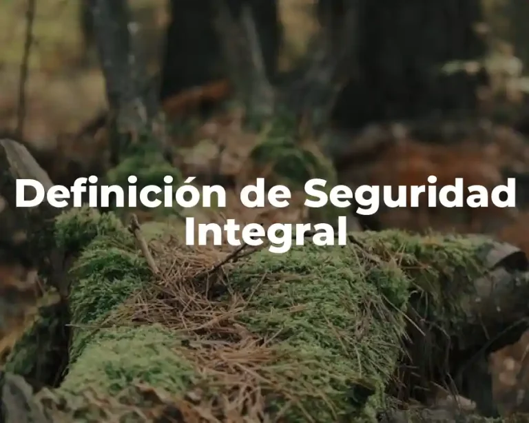Definición de Seguridad Integral