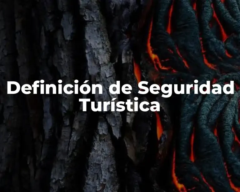 Definición de Seguridad Turística