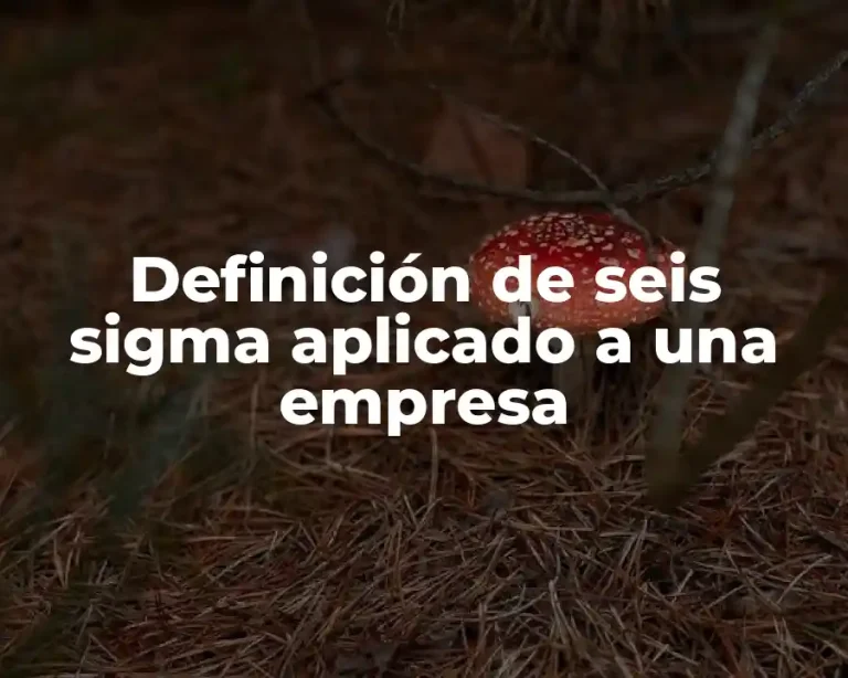 Definición de seis sigma aplicado a una empresa