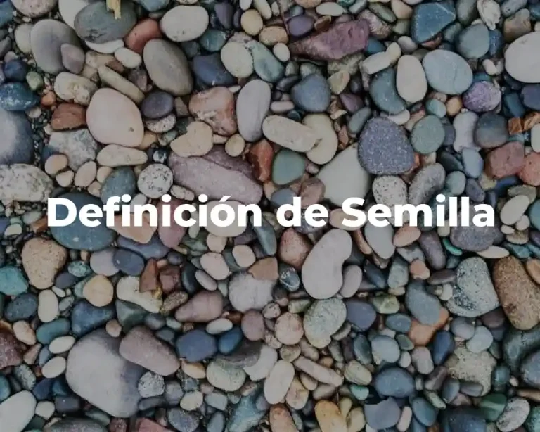 Definición de Semilla