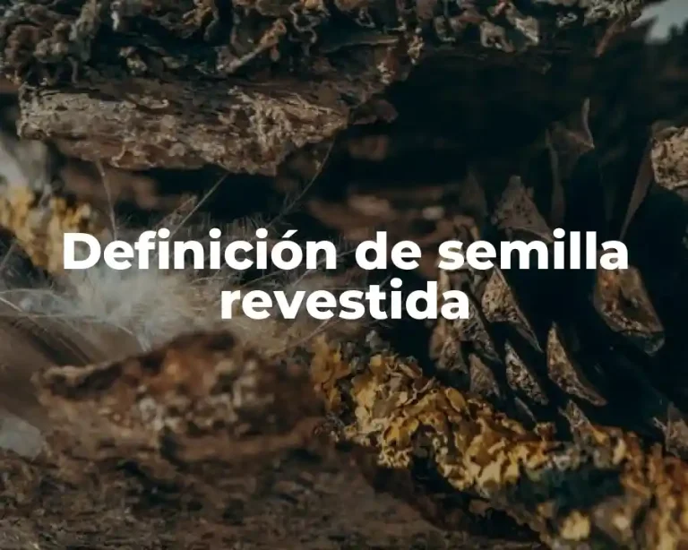 Definición de semilla revestida