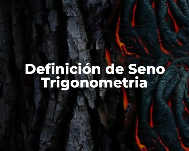 Definición de Seno Trigonometria