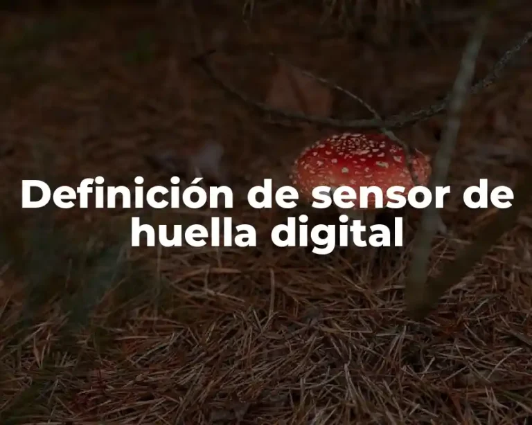 Definición de sensor de huella digital