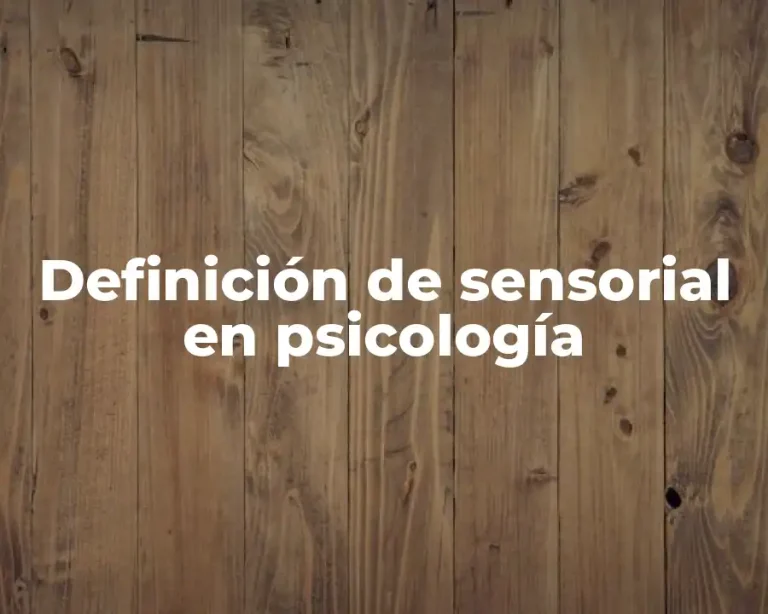 Definición de sensorial en psicología
