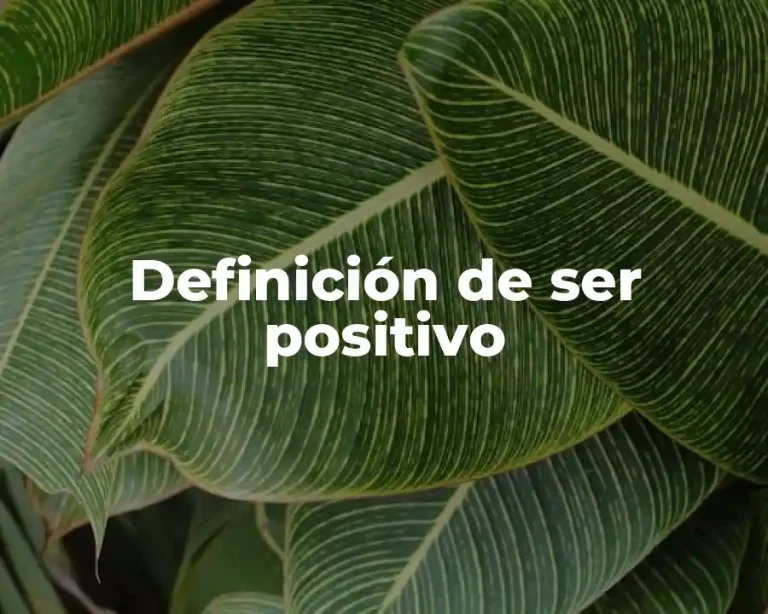 Definición de ser positivo