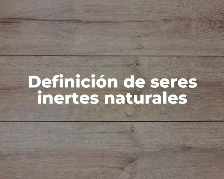 Definición de seres inertes naturales