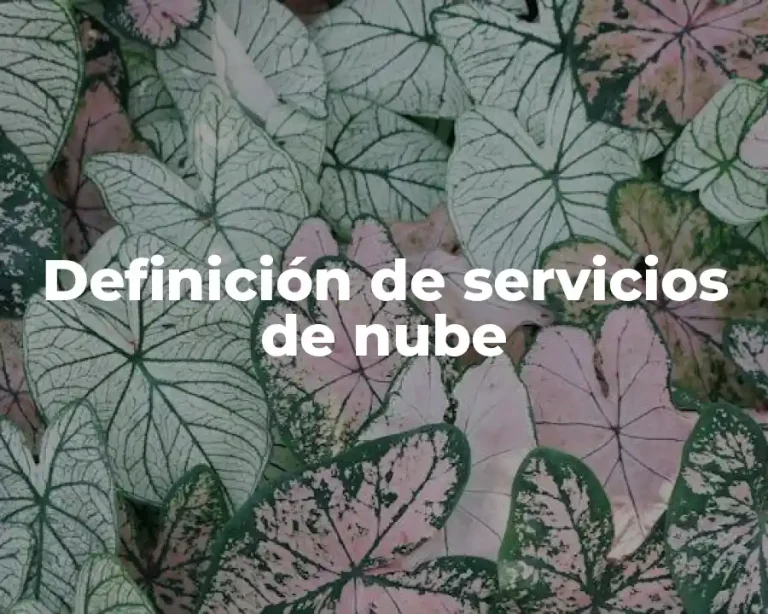 Definición de servicios de nube