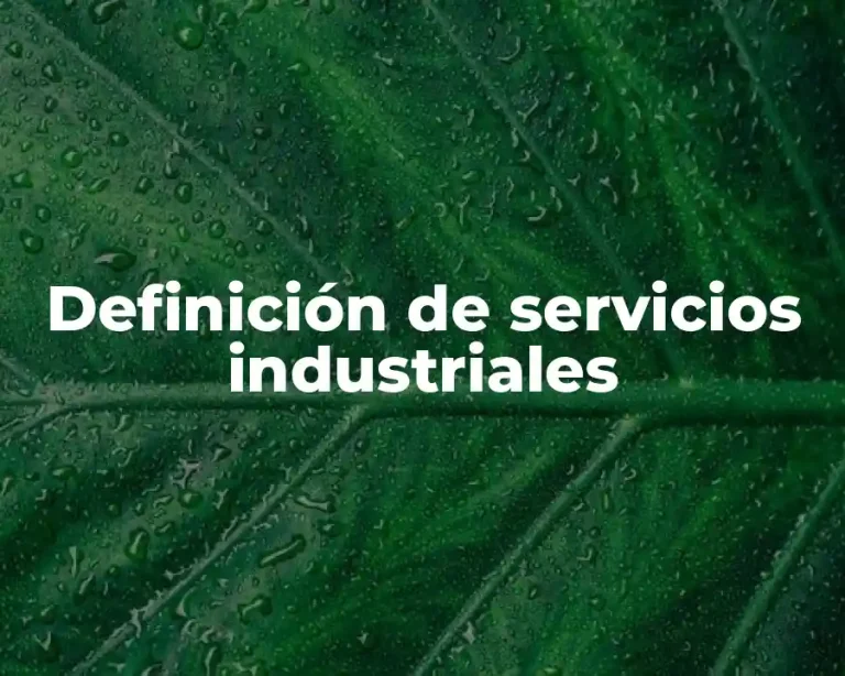 Definición de servicios industriales