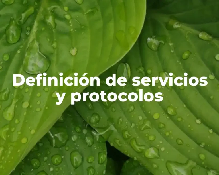 Definición de servicios y protocolos