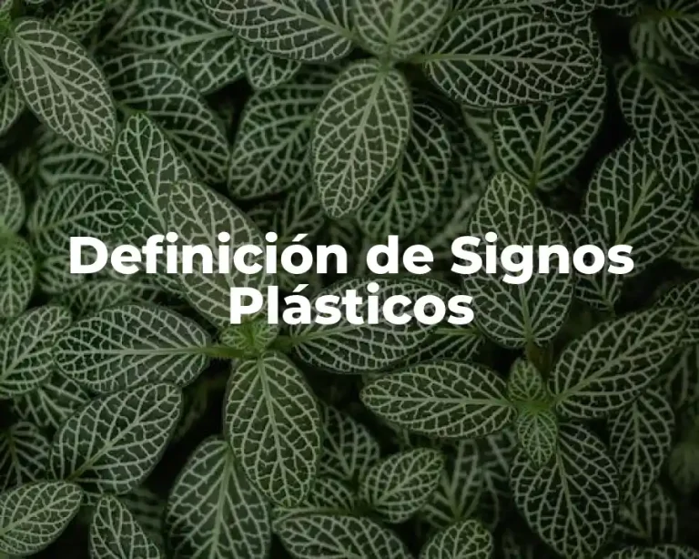 Definición de Signos Plásticos