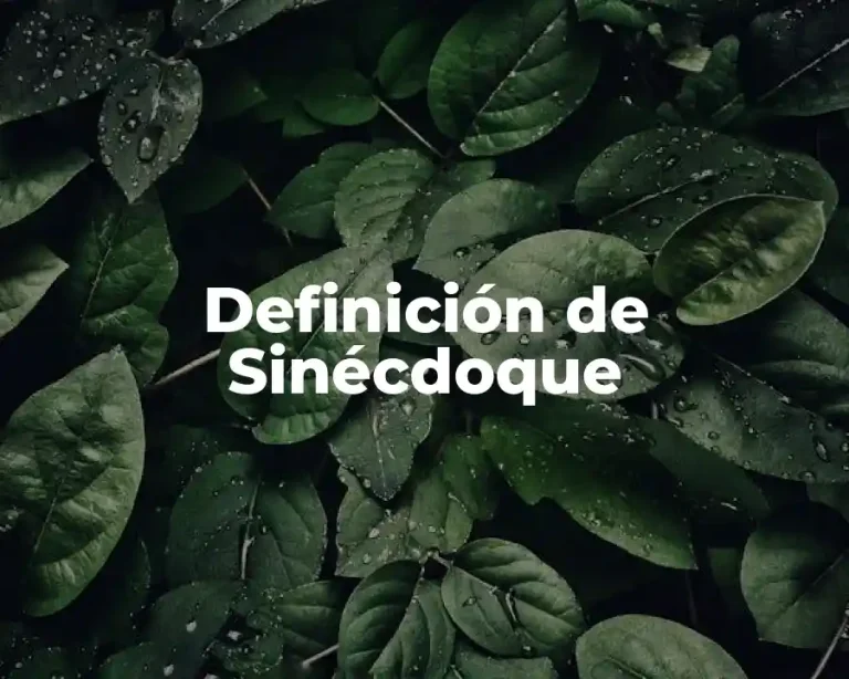Definición de Sinécdoque
