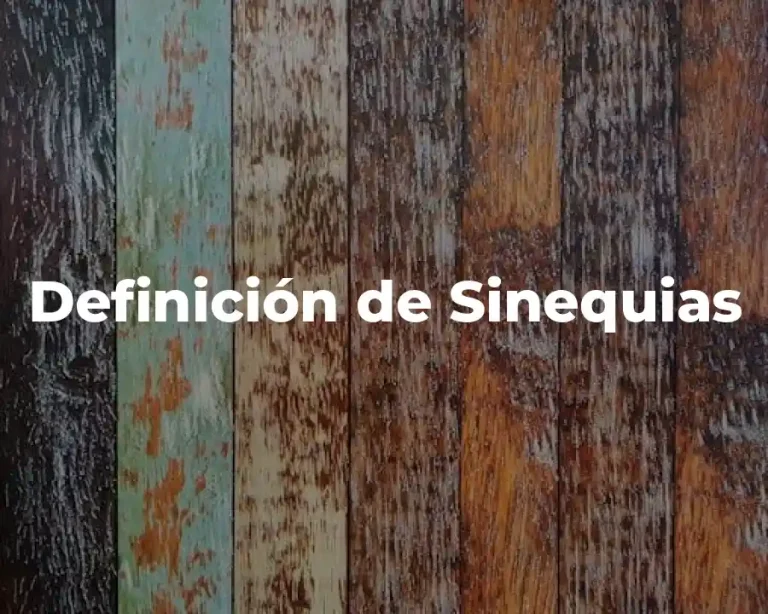 Definición de Sinequias