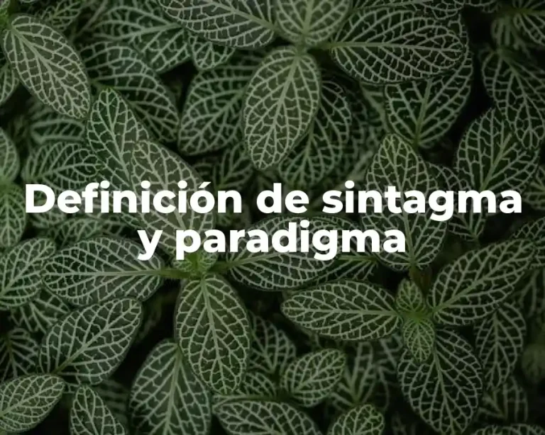 Definición de sintagma y paradigma