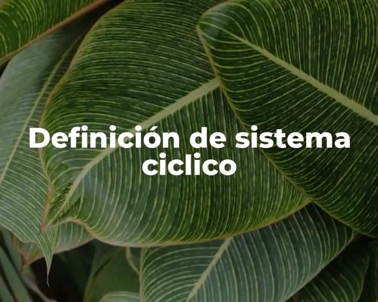 Definición de sistema ciclico