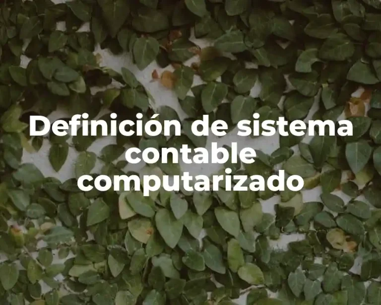 Definición de sistema contable computarizado