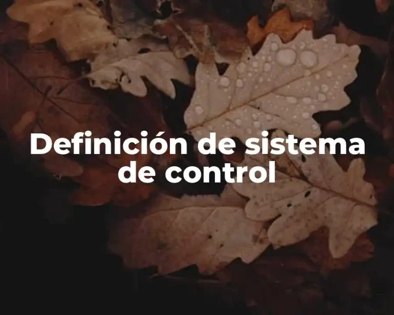 Definición de sistema de control