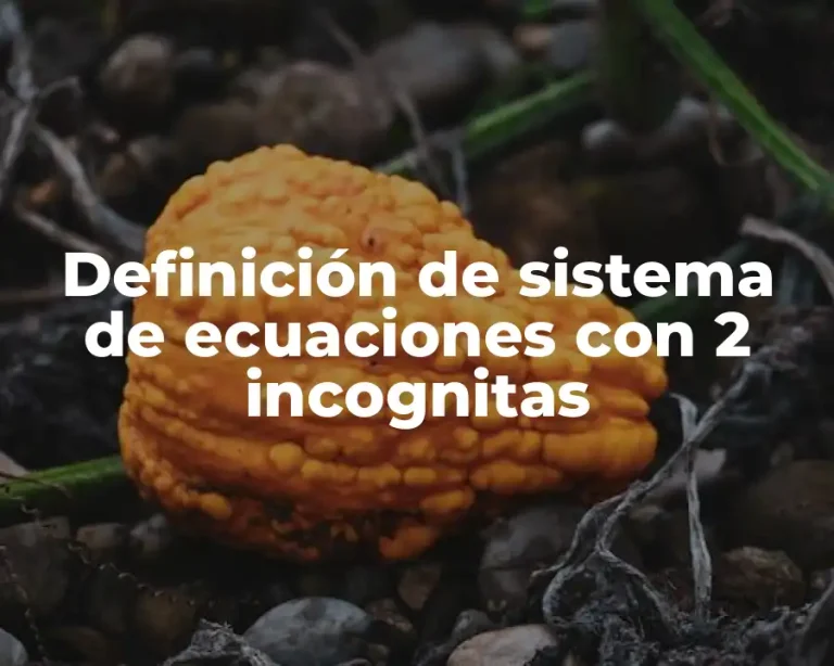 Definición de sistema de ecuaciones con 2 incognitas