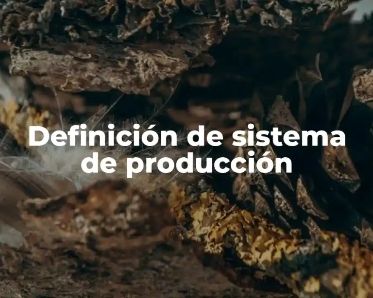 Definición de sistema de producción
