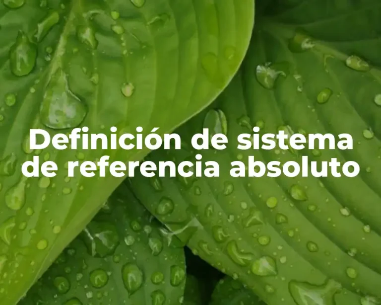 Definición de sistema de referencia absoluto