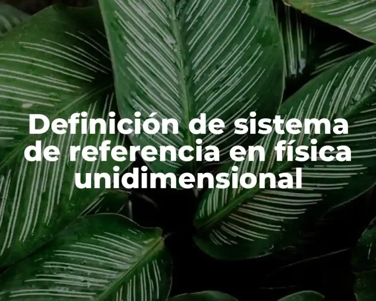 Definición de sistema de referencia en física unidimensional