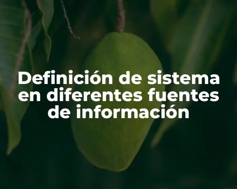 Definición de sistema en diferentes fuentes de información