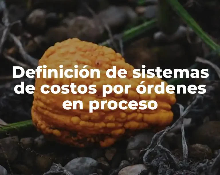 Definición de sistemas de costos por órdenes en proceso