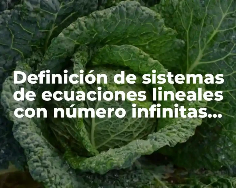 Definición de sistemas de ecuaciones lineales con número infinitas soluciones