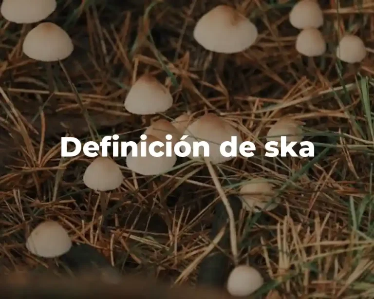 Definición de ska