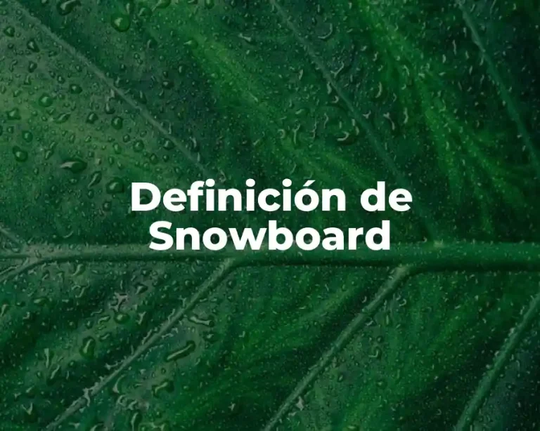 Definición de Snowboard