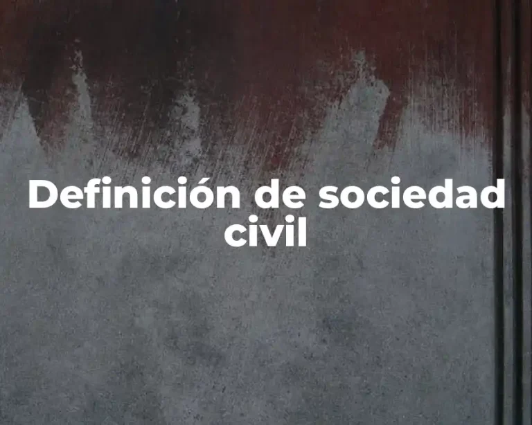 Definición de sociedad civil