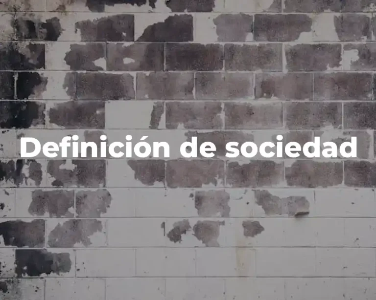 Definición de sociedad